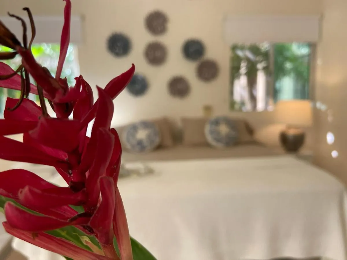 Casa Marena Villa Playa del Carmen 0*,  Mexico